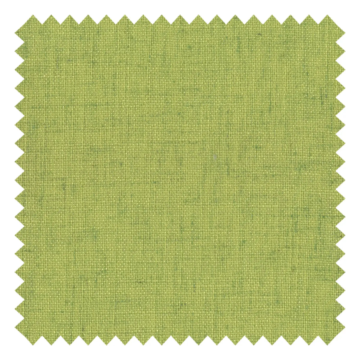 Sage Green fabric swatch