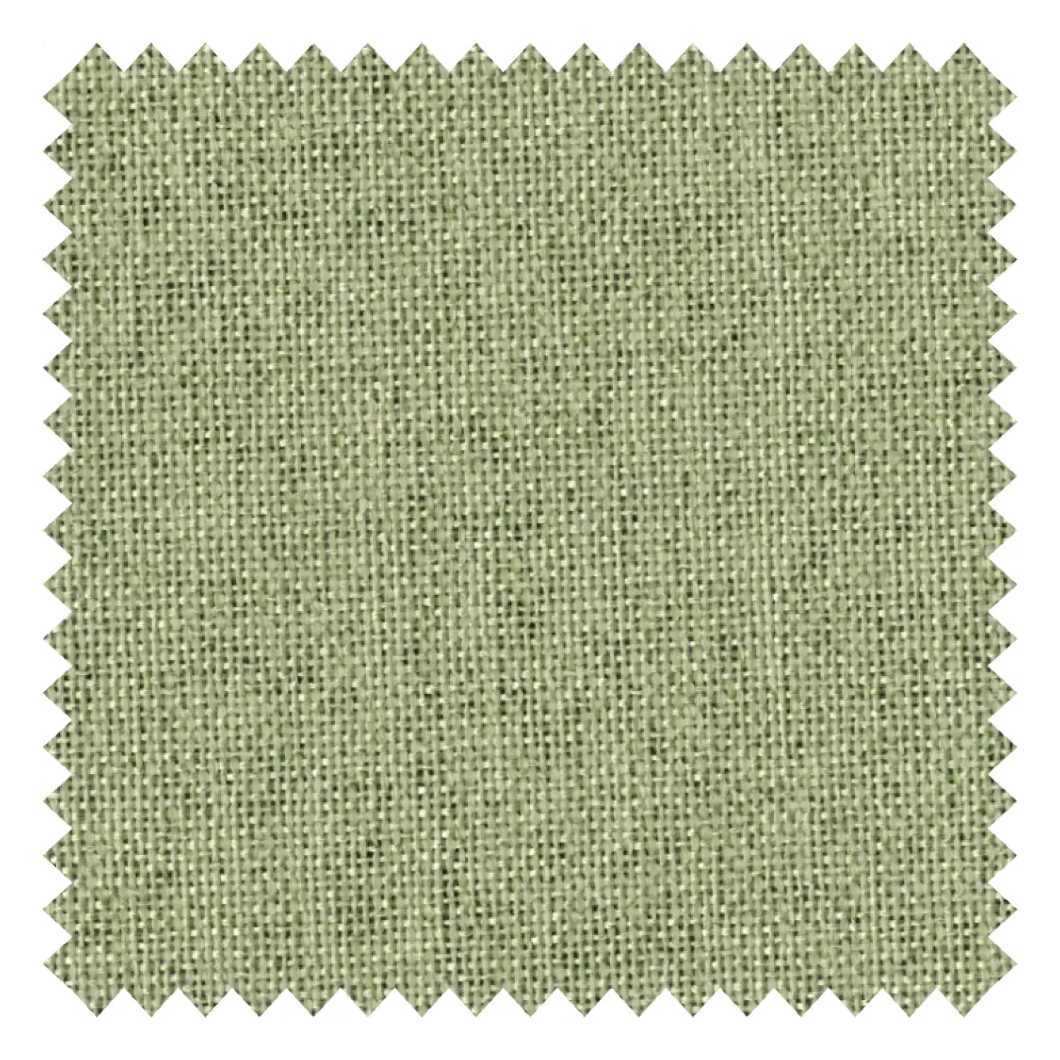Pale Sage fabric swatch