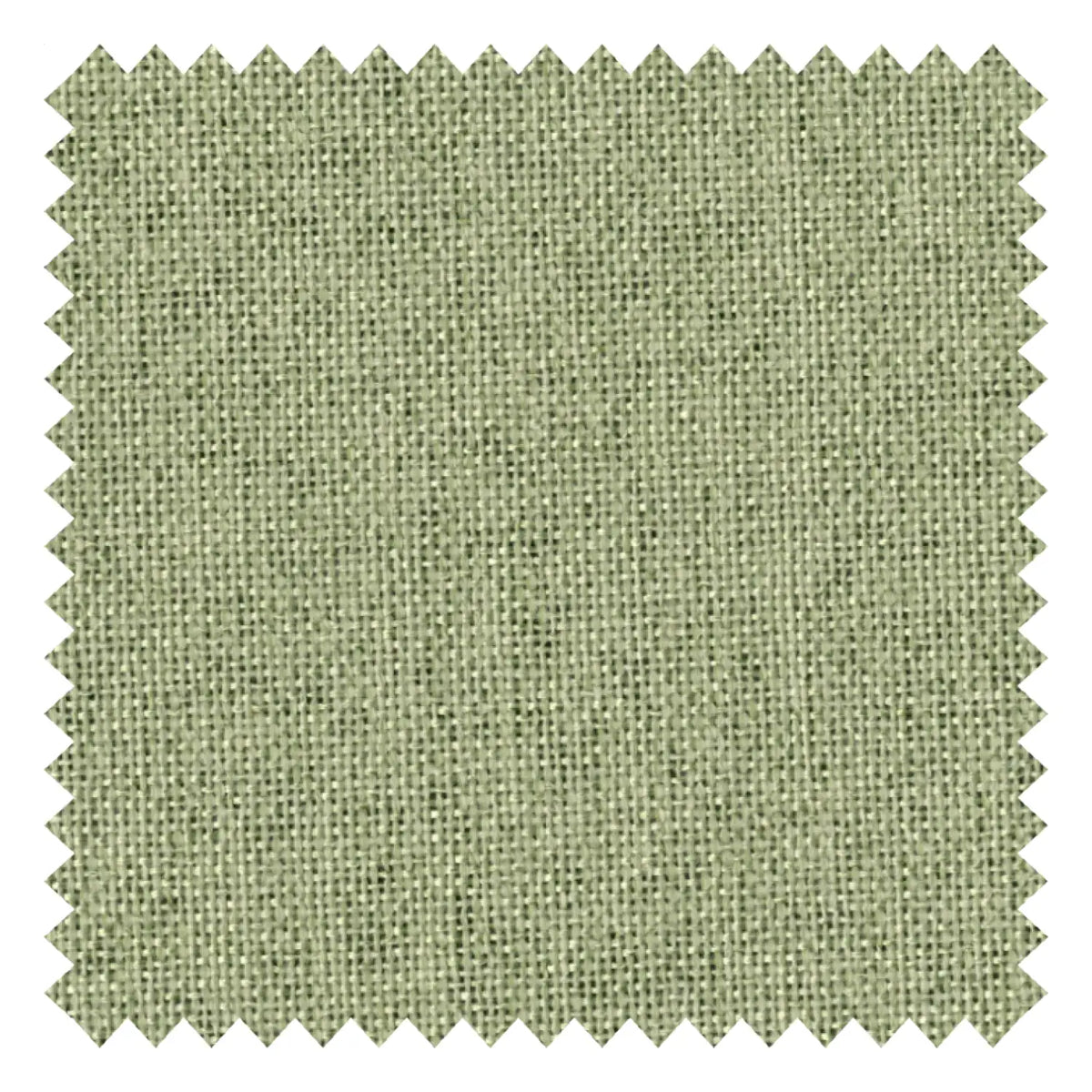Pale Sage fabric swatch